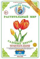 Дидактический материал Садовые цветы