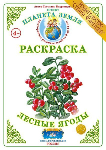 Раскраска Лесные ягоды