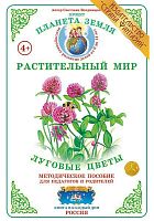 Дидактический материал Луговые цветы